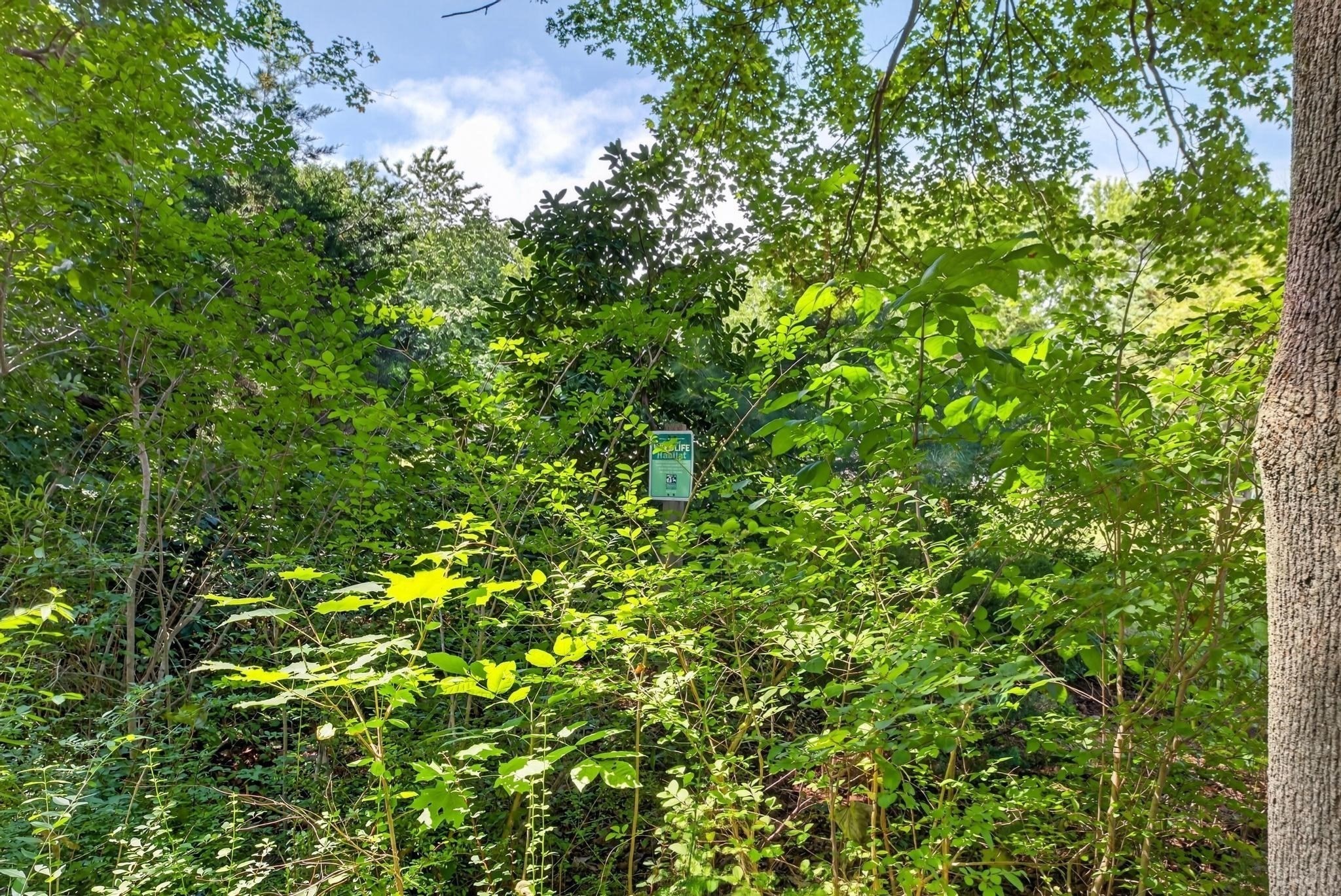 61 Highland Avenue, Dartmouth, MA 02747 - Image 33
