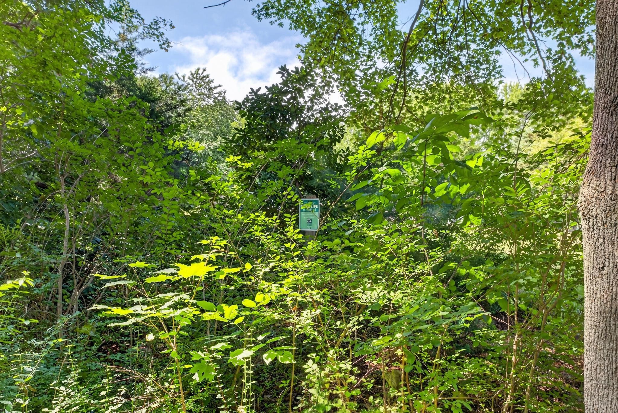 61 Highland Avenue, Dartmouth, MA 02747 - Image 40