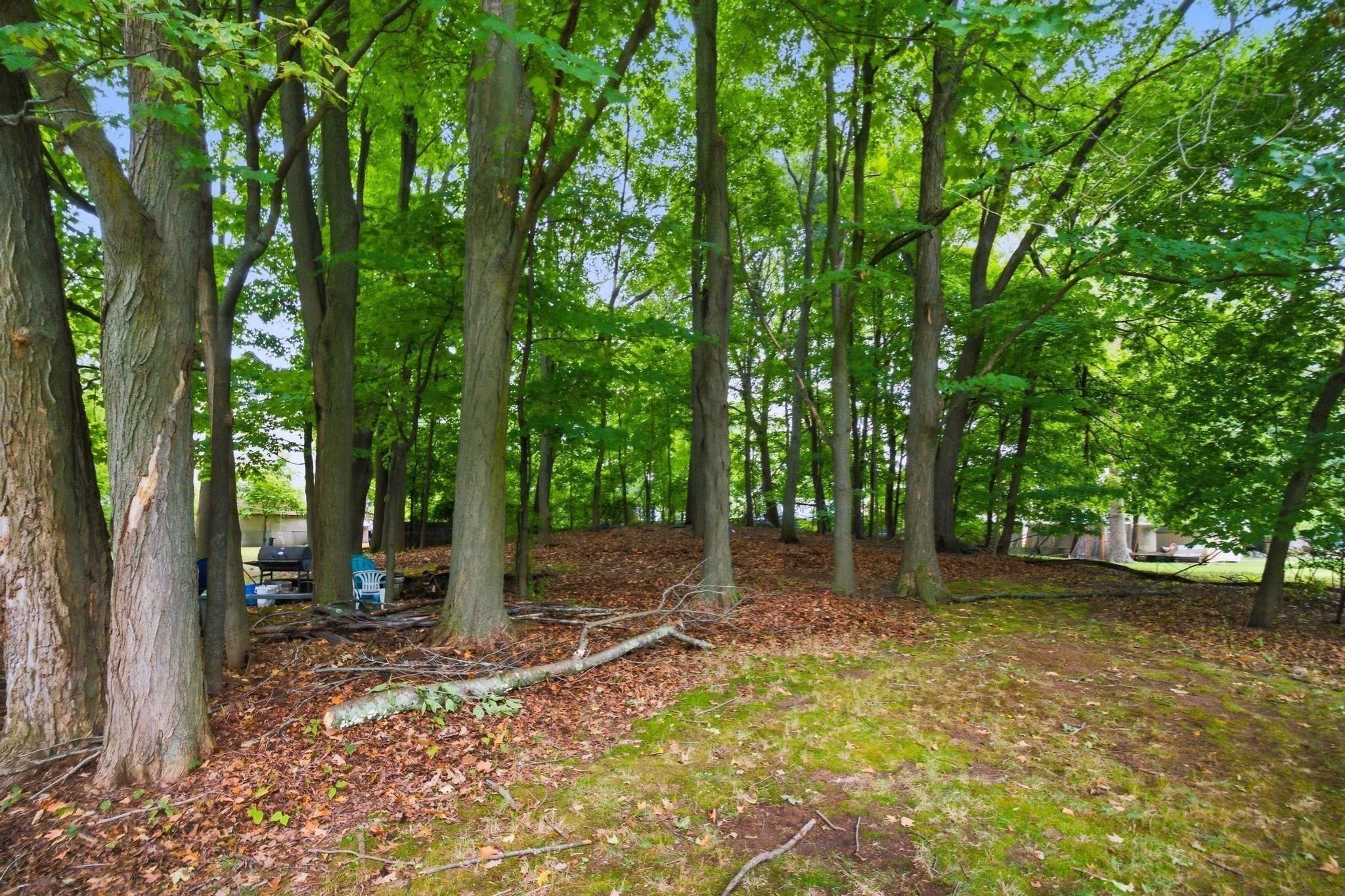 219 Montvale, Woburn, MA 01801 - Image 7
