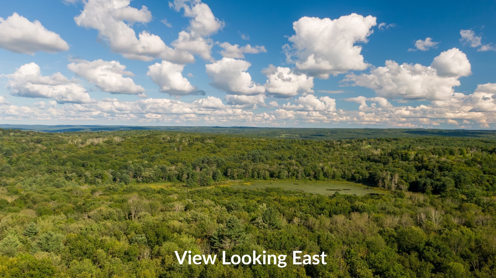 7 Delargy Rd, Hardwick, MA 01037