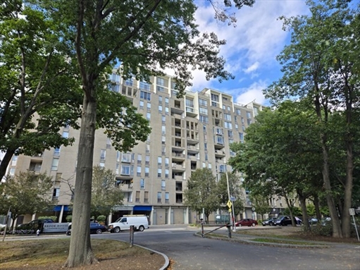 77 Pond Ave, Apt 703
