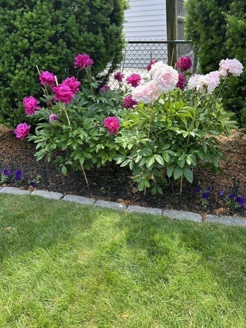 55 Memorial Dr, Salem, MA 01970 - Image 8