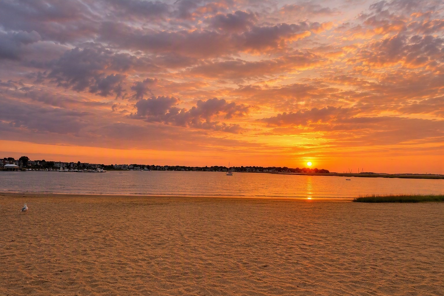 863 Saratoga St. Unit 3, East Boston, Boston, MA 02128 - Image 2