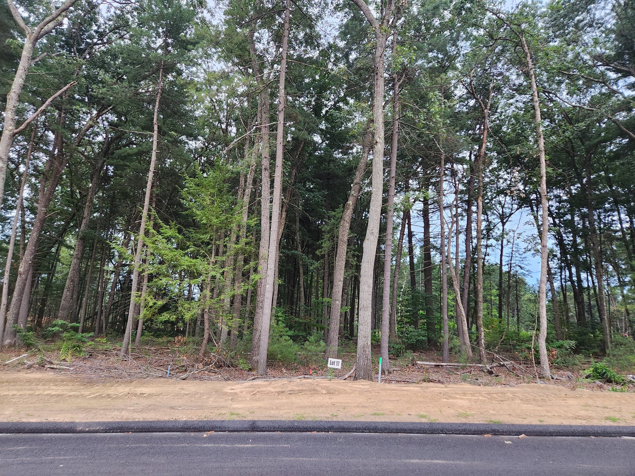 17 Nathaniel Hill, Westfield, MA 01085