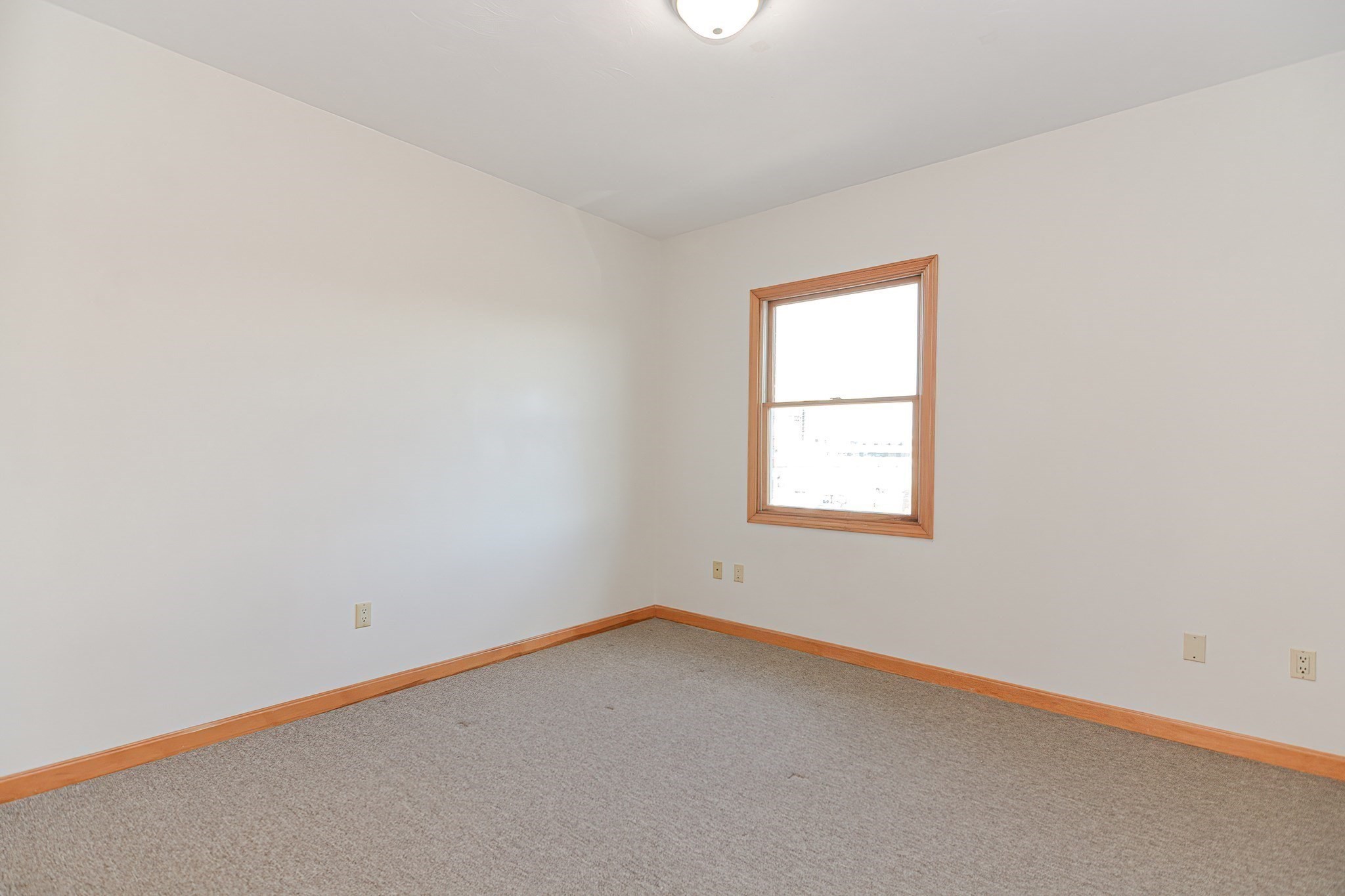 12 Rena, Lower Allston, Boston, MA 02134 - Image 14