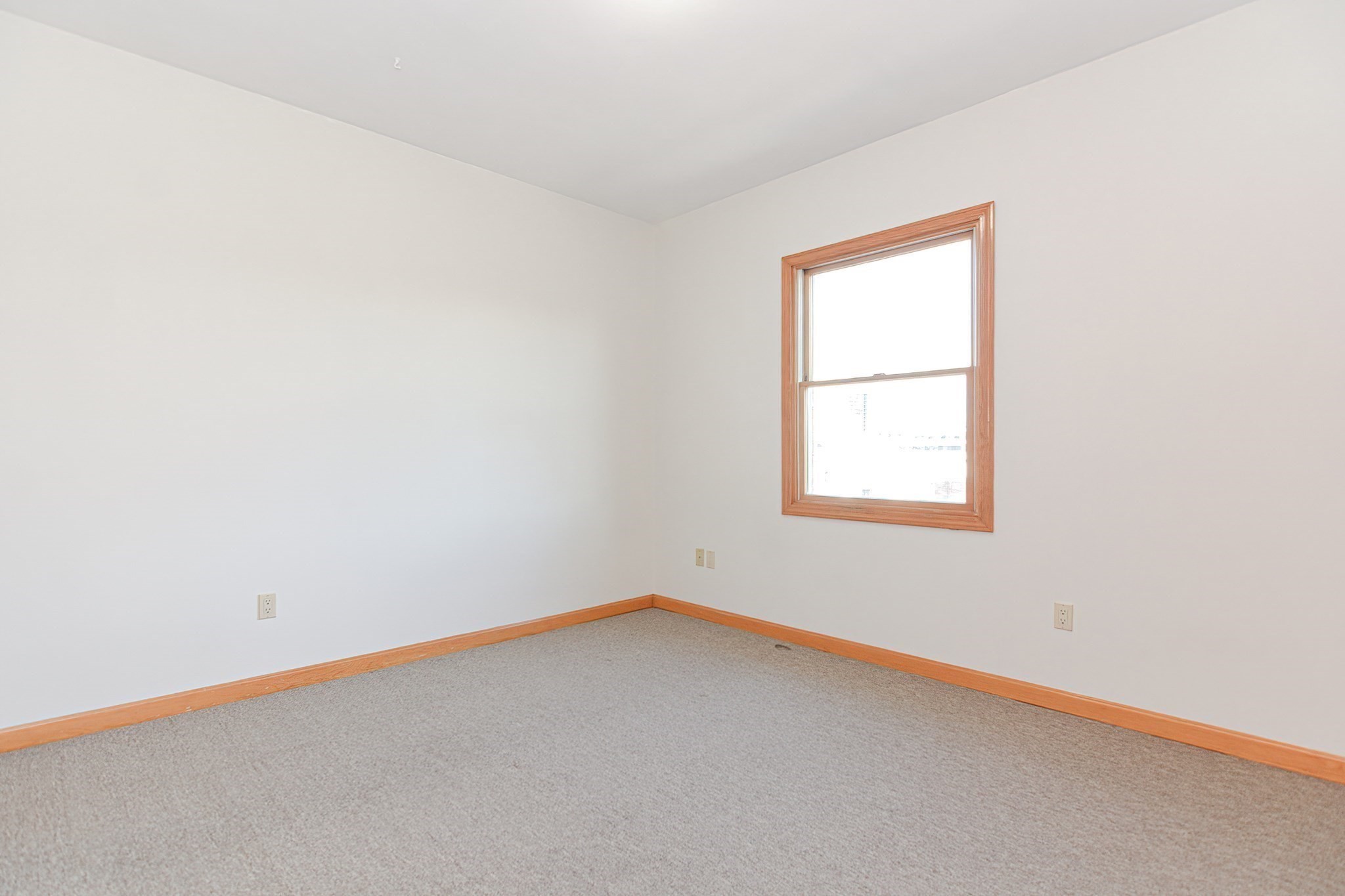 12 Rena, Lower Allston, Boston, MA 02134 - Image 9