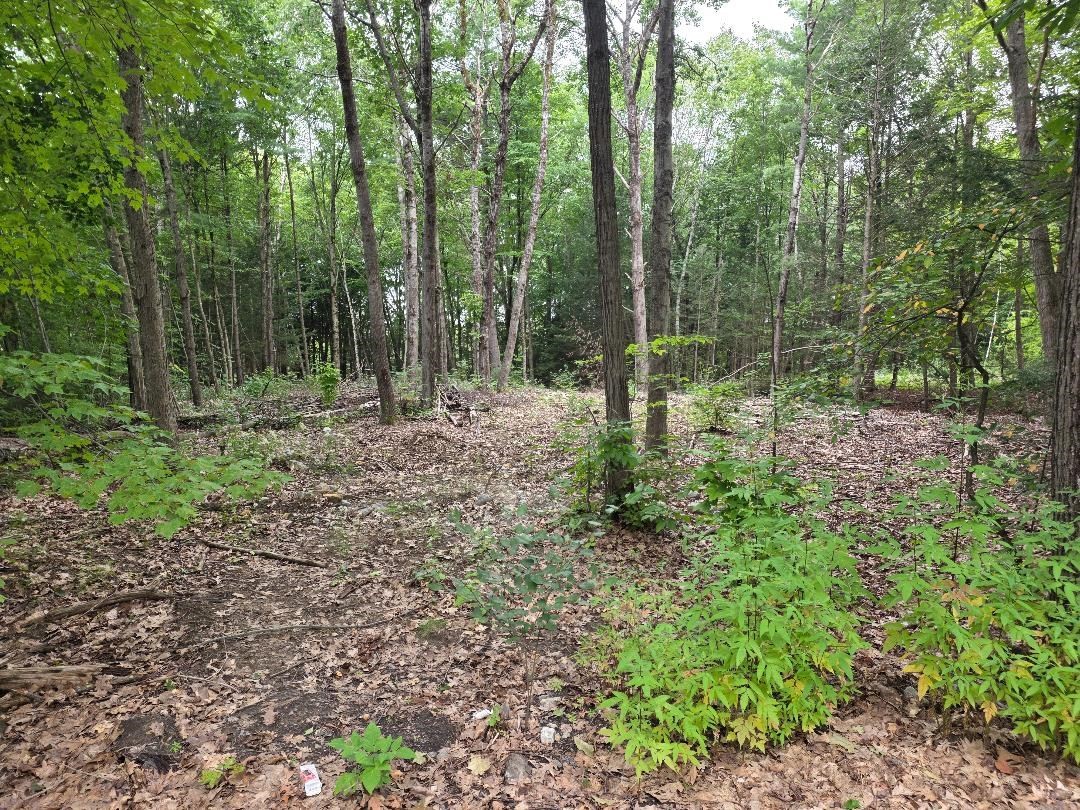 97 Petersham Road, Athol, MA 01331