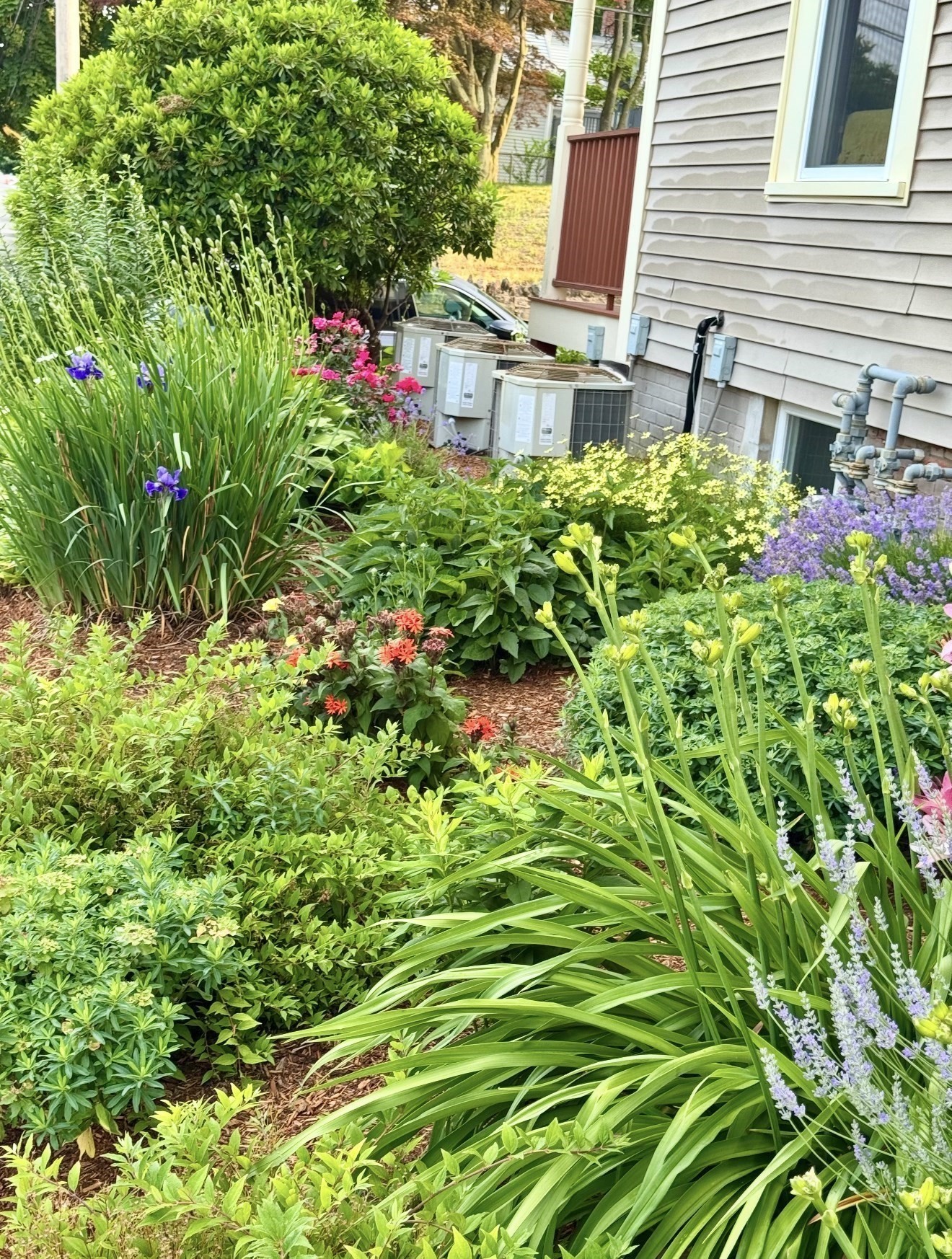 65 High Street Unit 1, Woburn, MA 01801 - Image 39