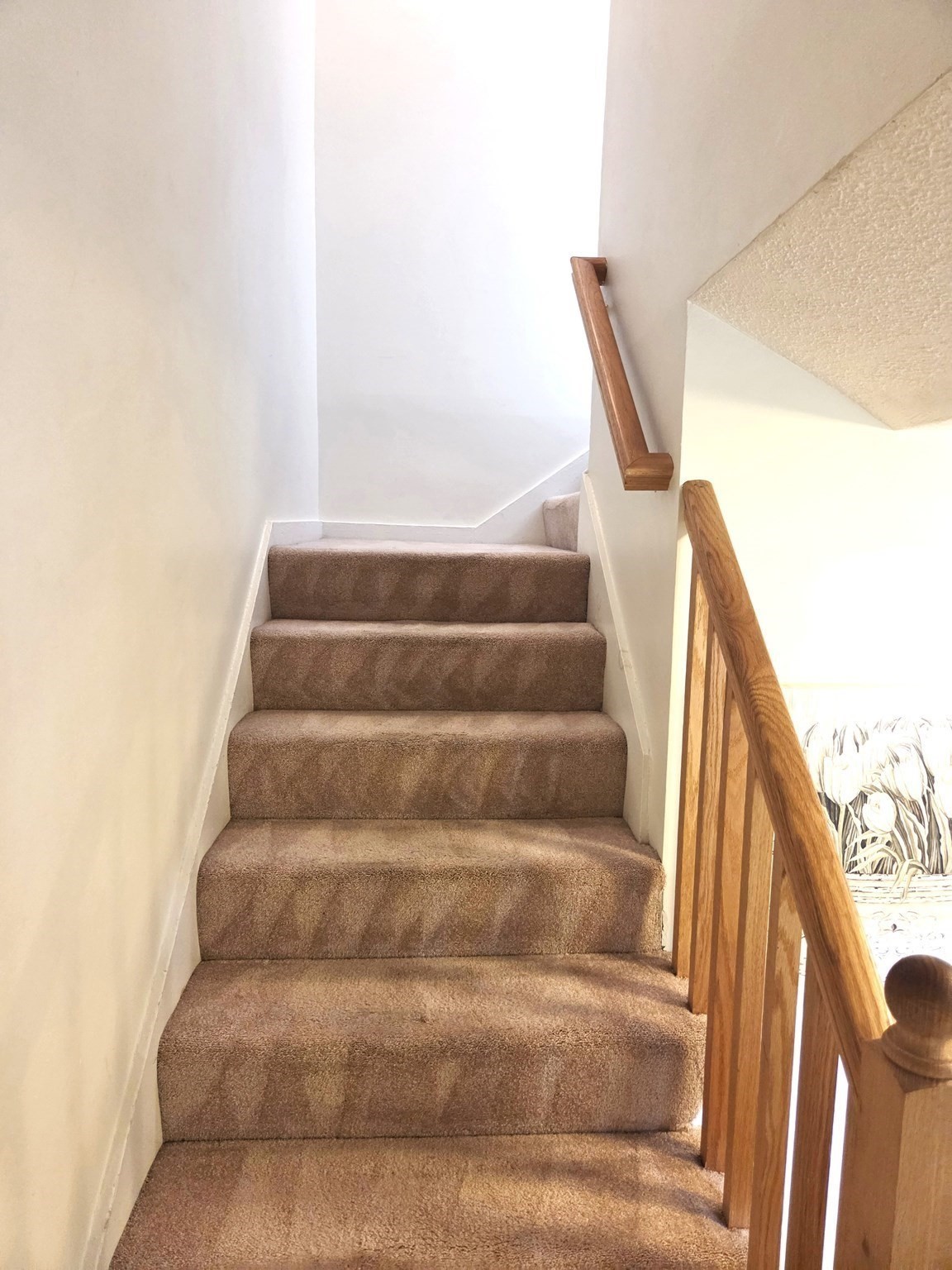 9 Adams St. Unit 10, Easton, MA 02375 - Image 11