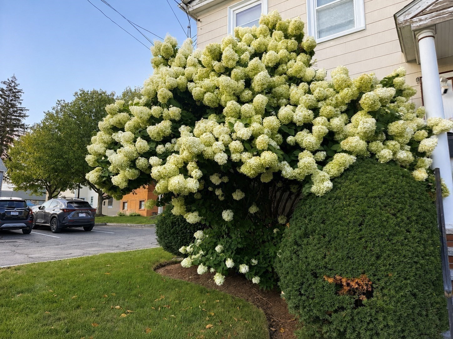 57 Pleasant St. Unit B, Watertown, MA 02472 - Image 17