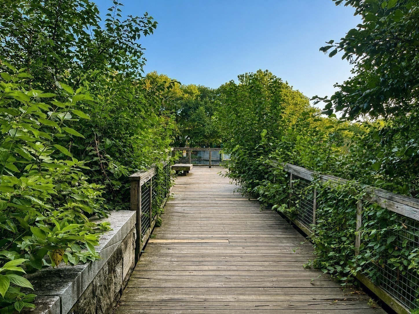 57 Pleasant St. Unit B, Watertown, MA 02472 - Image 20