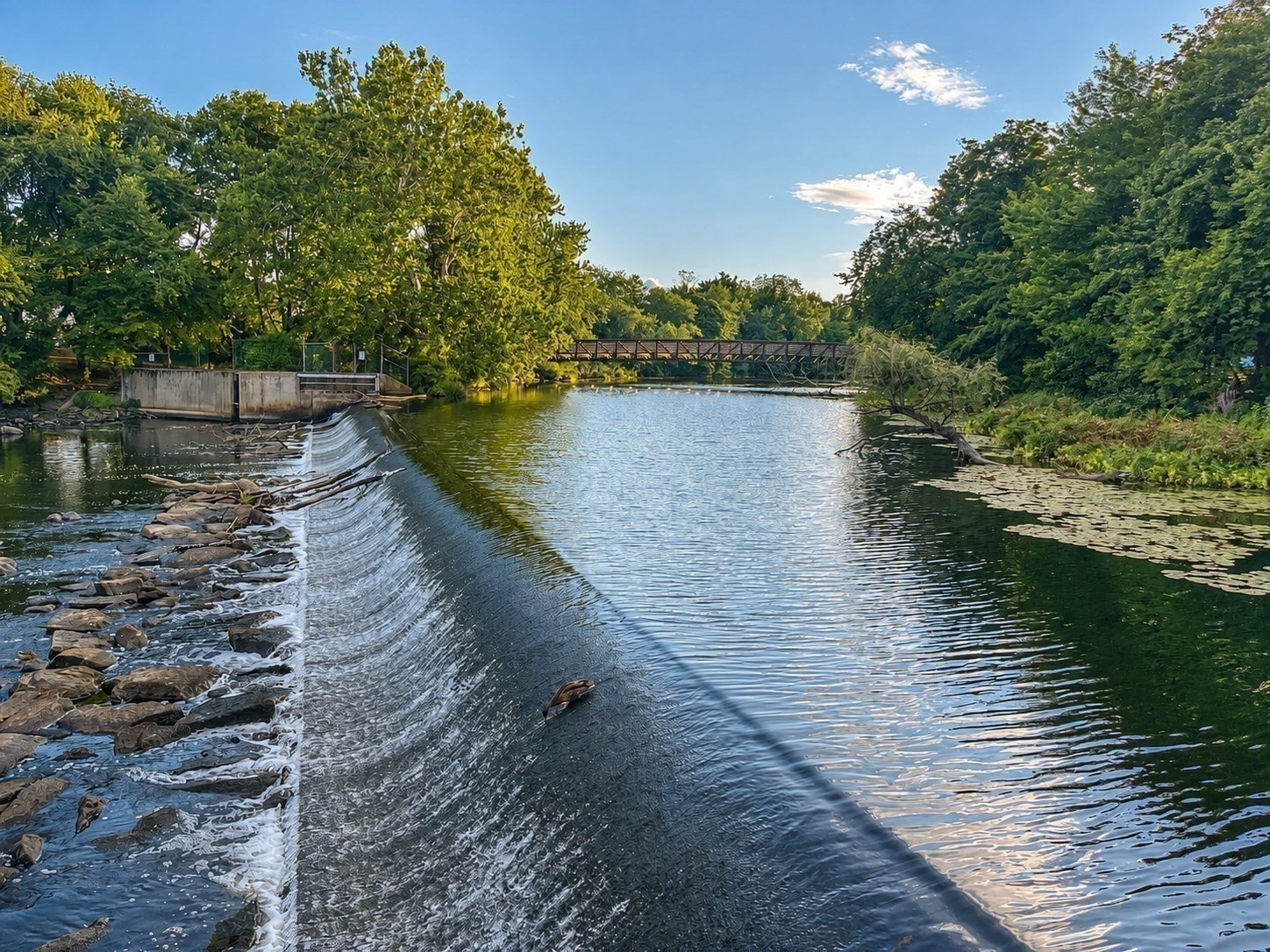 57 Pleasant St. Unit B, Watertown, MA 02472 - Image 21