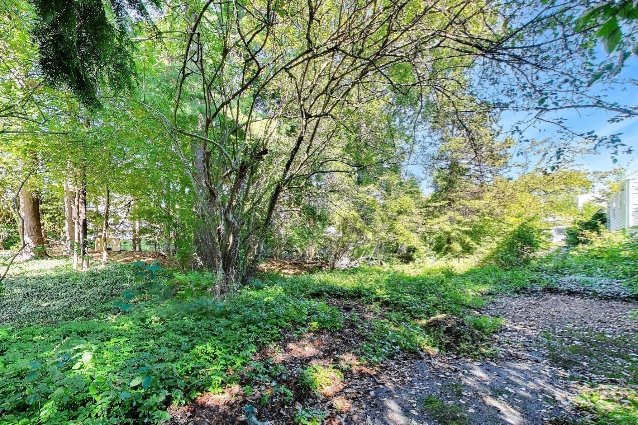 72 Sexton Ave, Westwood, MA 02090 - Image 27