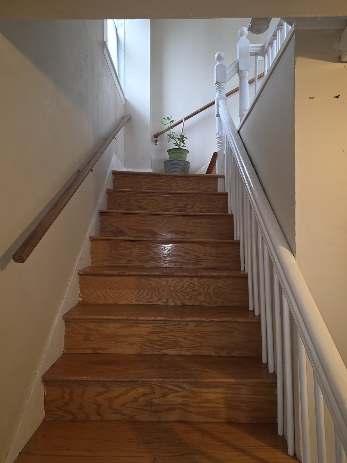 120 Woodrow Ave, Dorchester, Boston, MA 02124 - Image 20