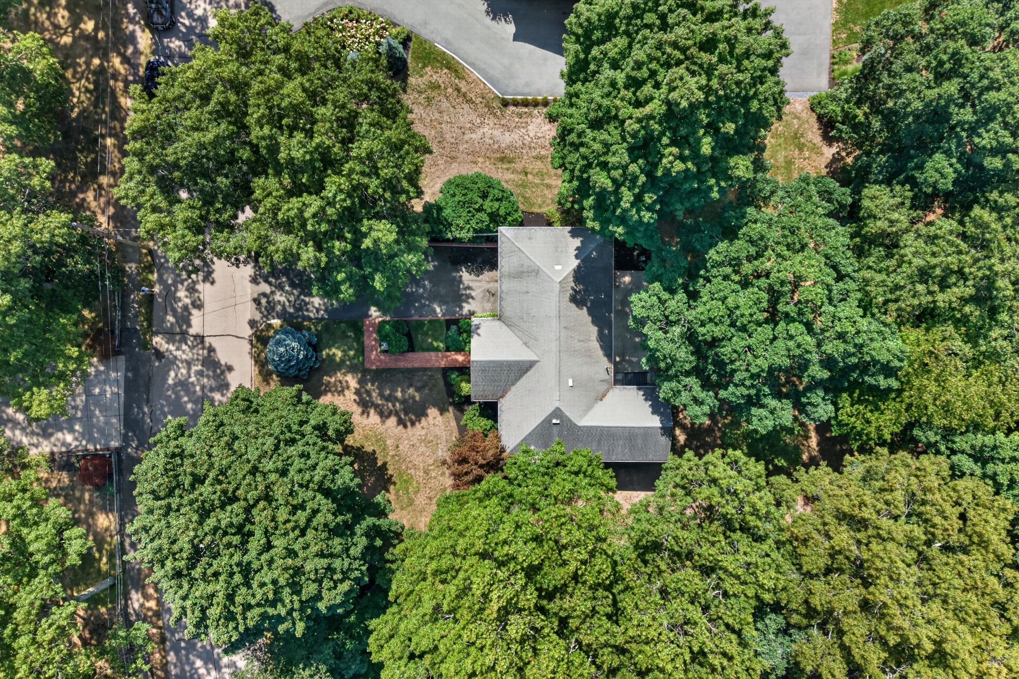 81 Alder Rd, Westwood, MA 02090 - Image 41