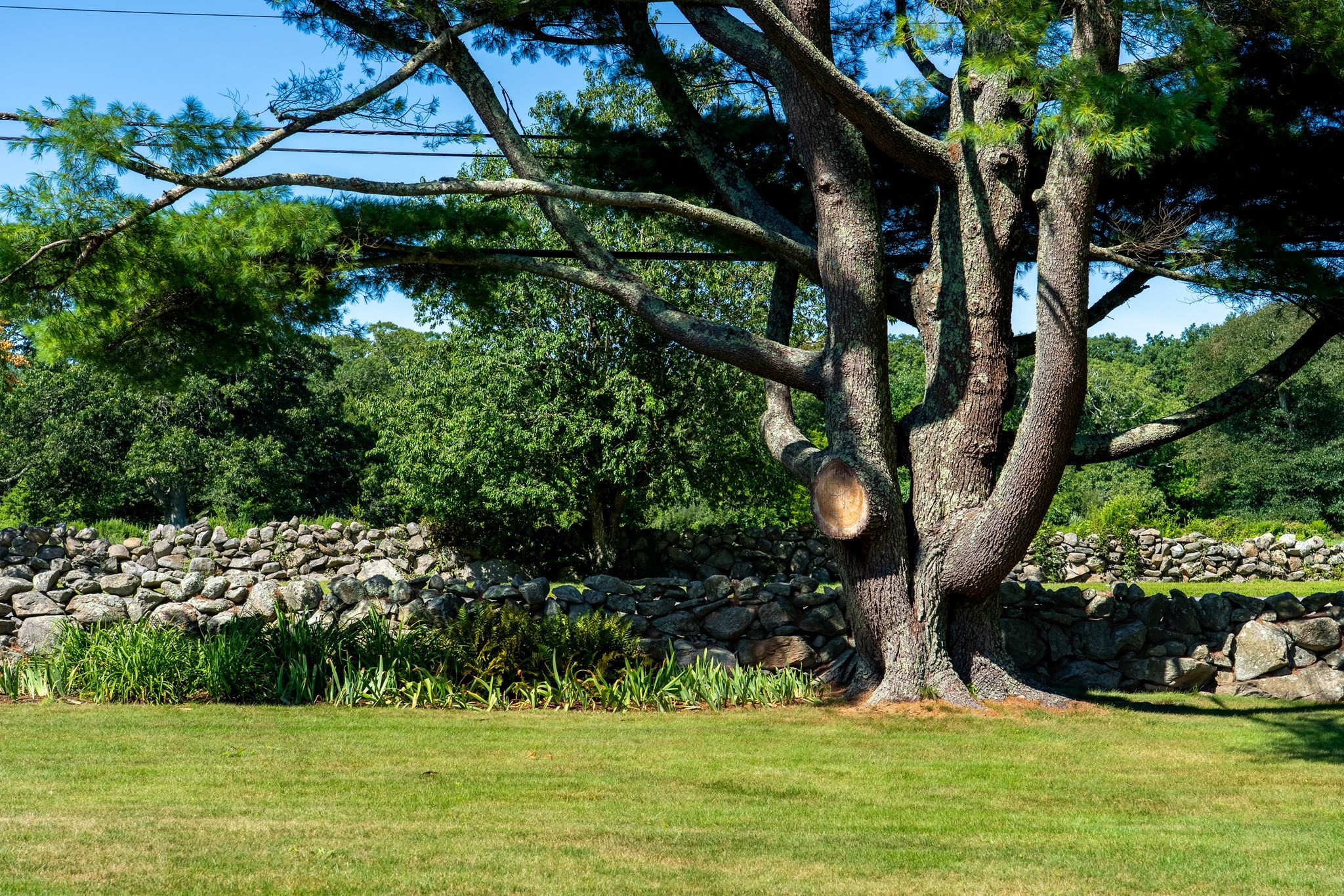 557 Smith Neck Rd, Dartmouth, MA 02748 - Image 26