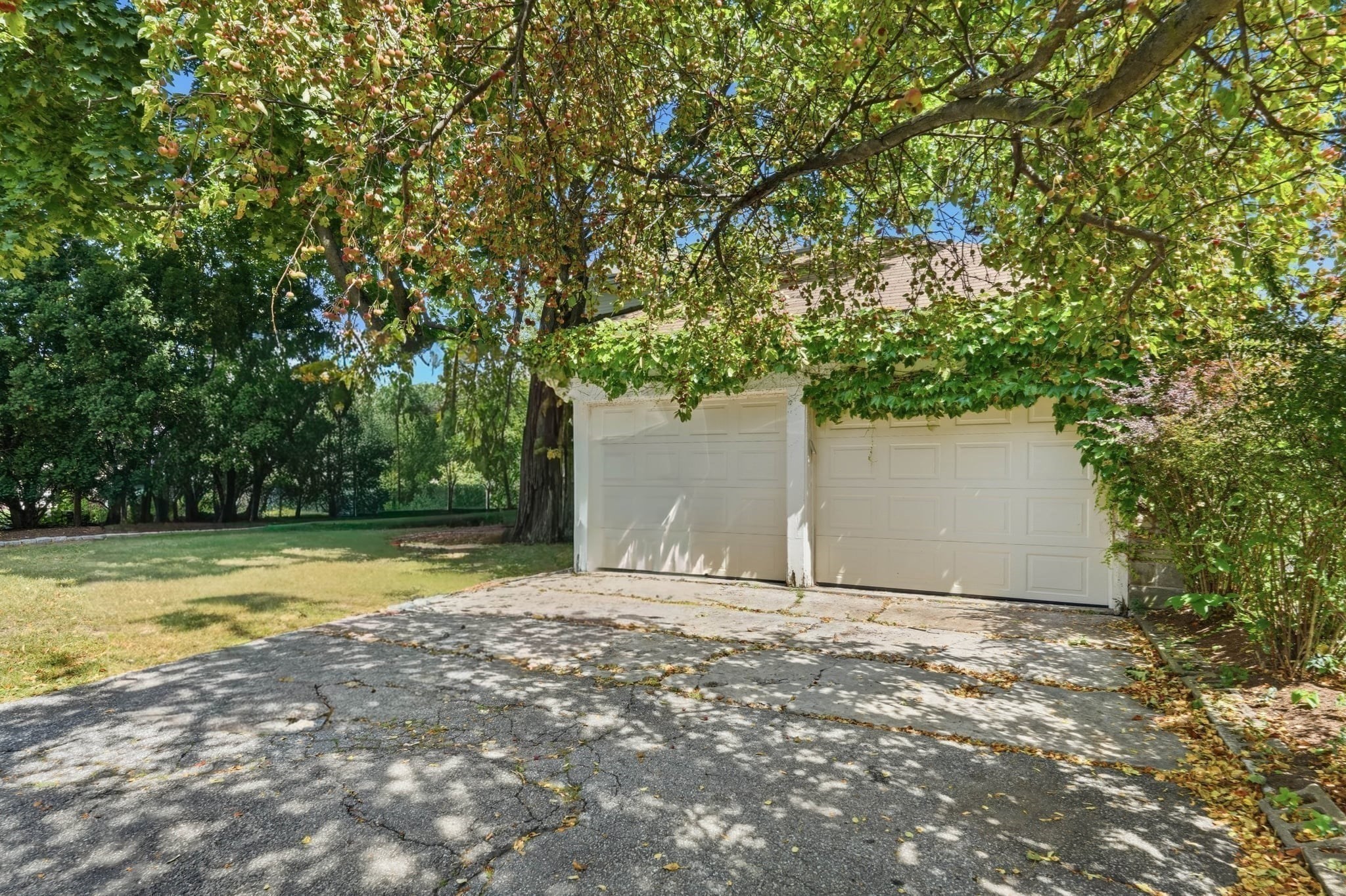139 Summer St Unit 1, Watertown, MA 02472 - Image 3