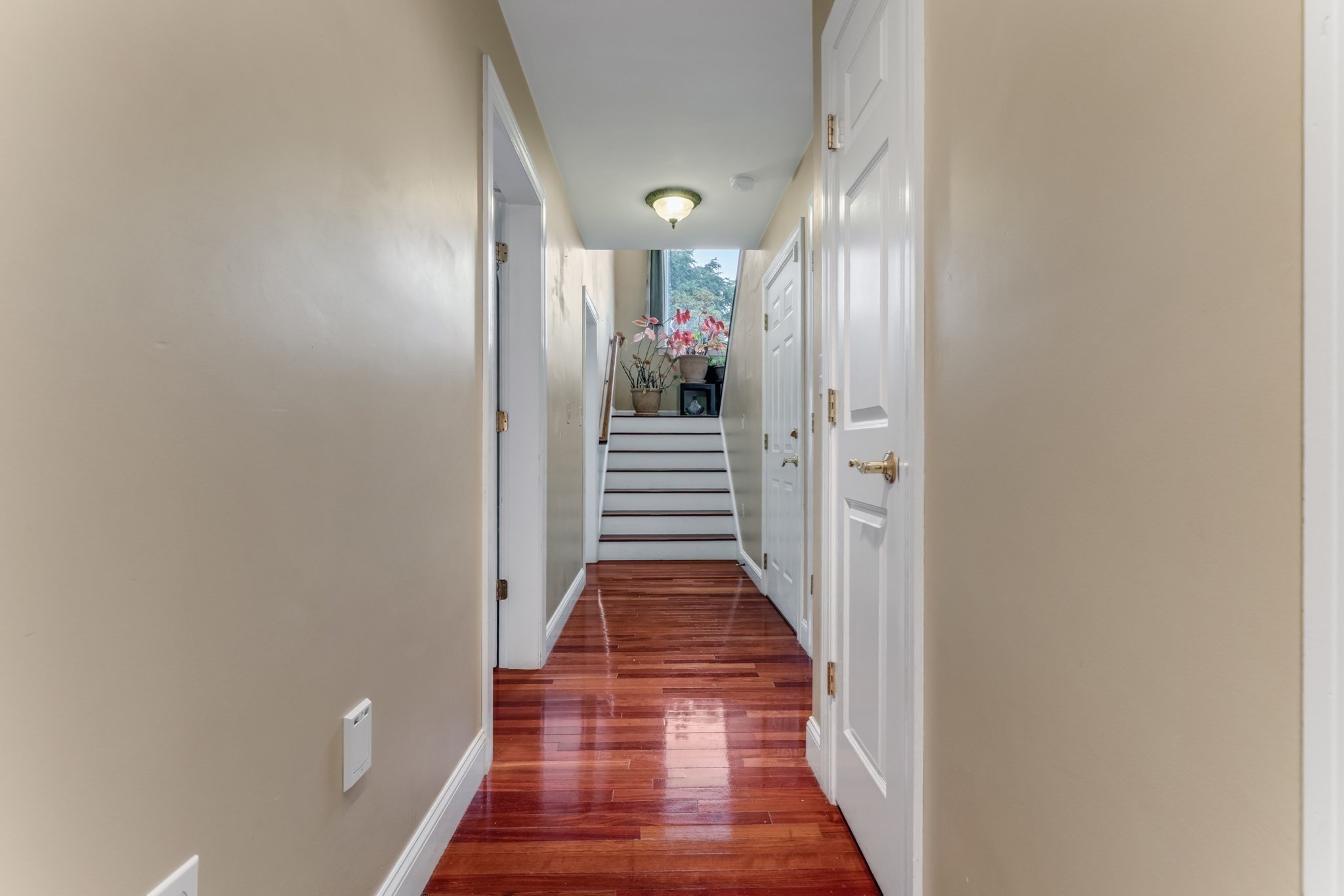 30 Everett Ave, Somerville, MA 02145 - Image 7