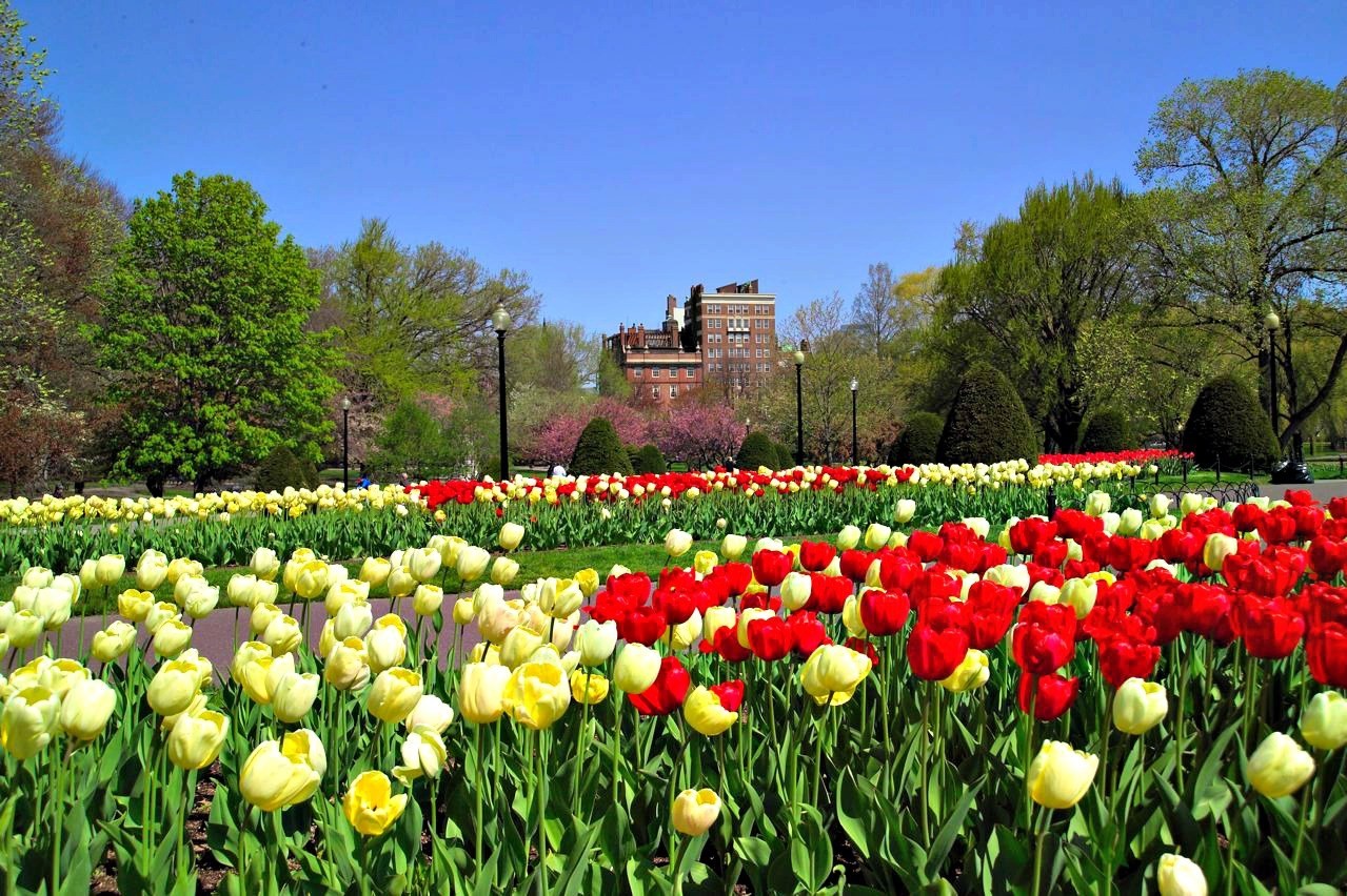 140 Mount Vernon Unit PH, Beacon Hill, Boston, MA 02108 - Image 21