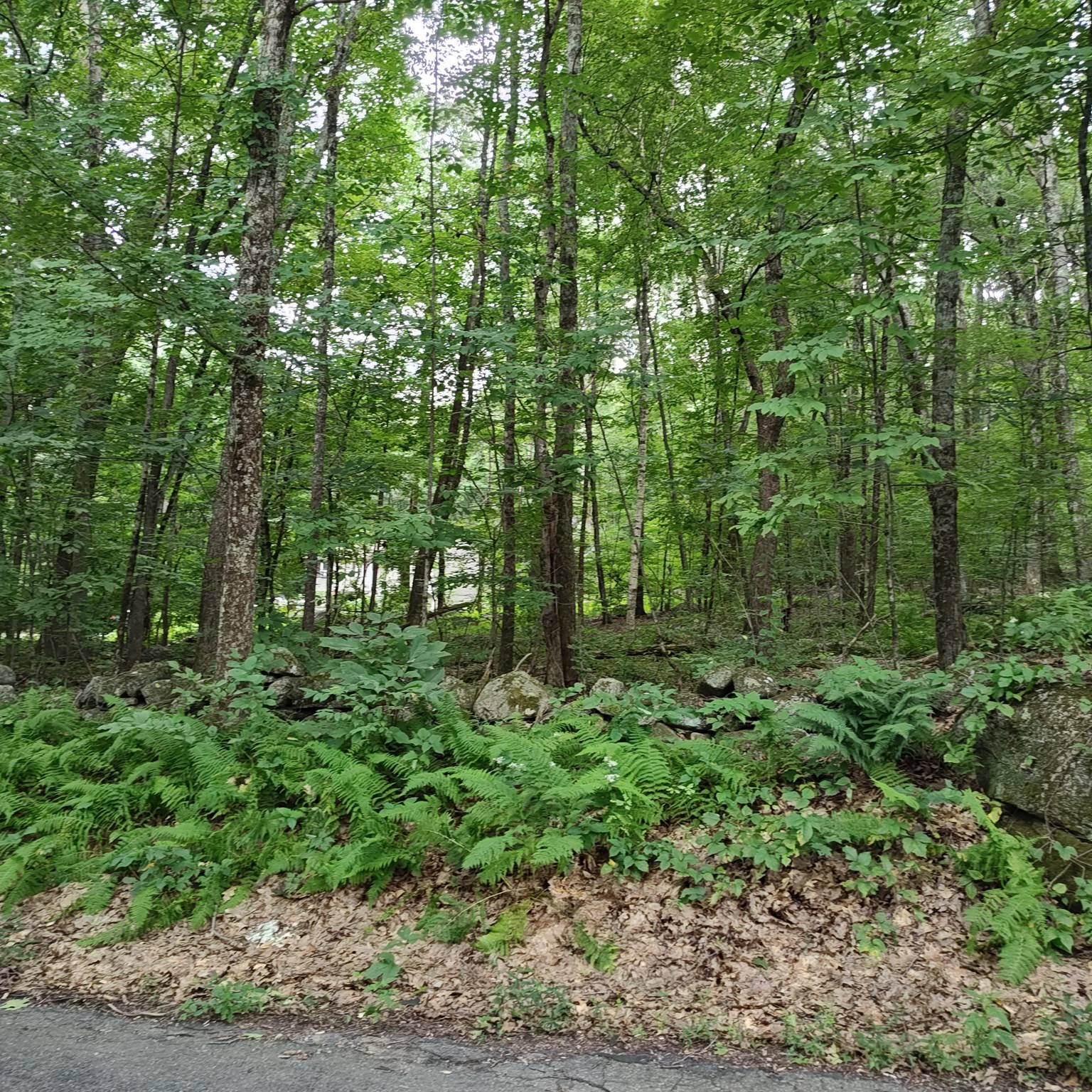 0 Old West Brookfield Rd, Warren, MA 01083