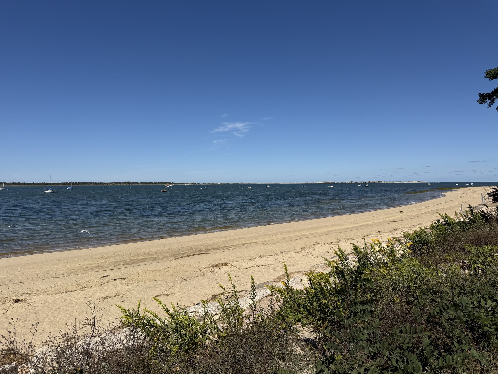 95 Millway, Barnstable, MA 02630 - Image 39