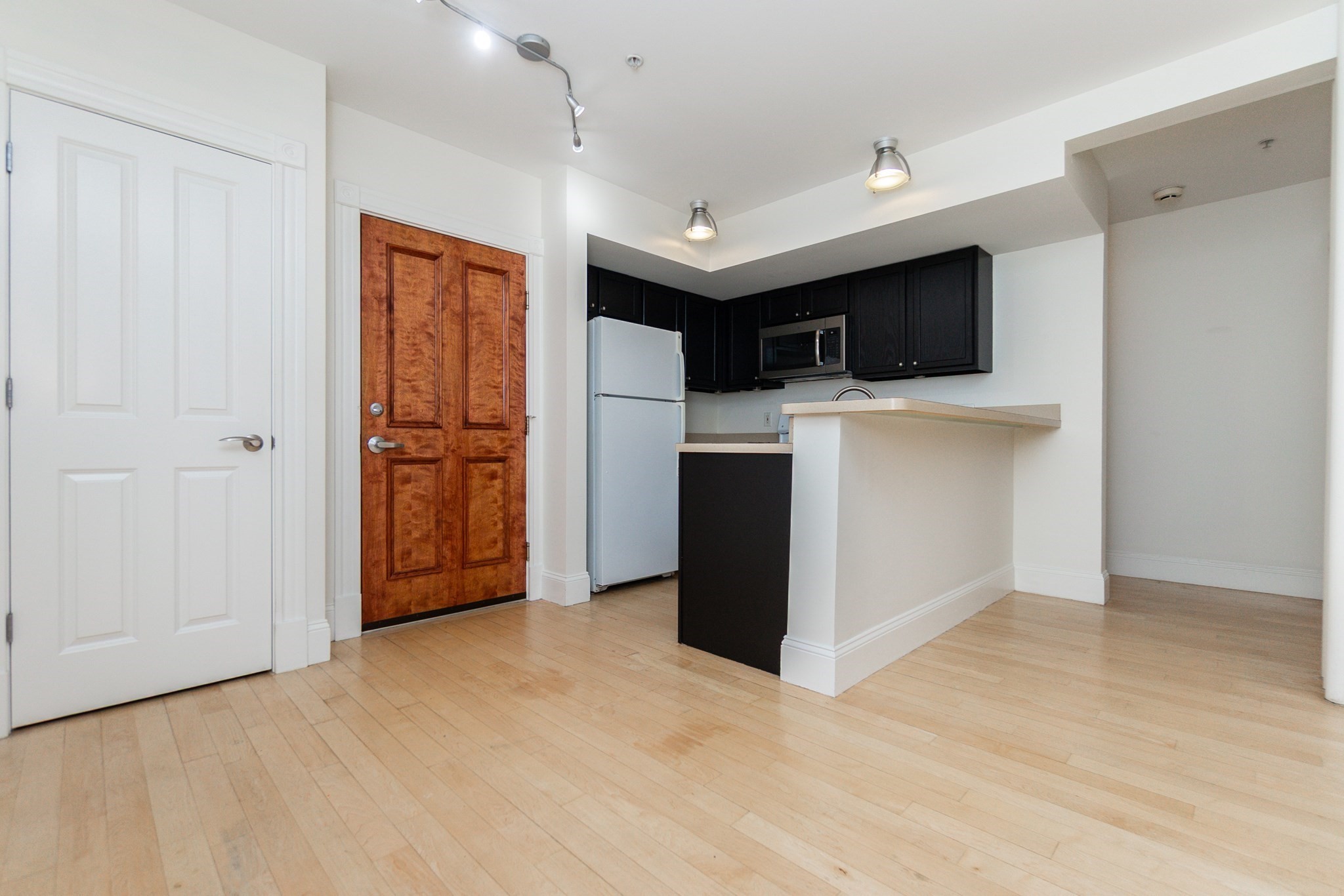 45 W Broadway Unit 208, South Boston, Boston, MA 02127 - Image 9