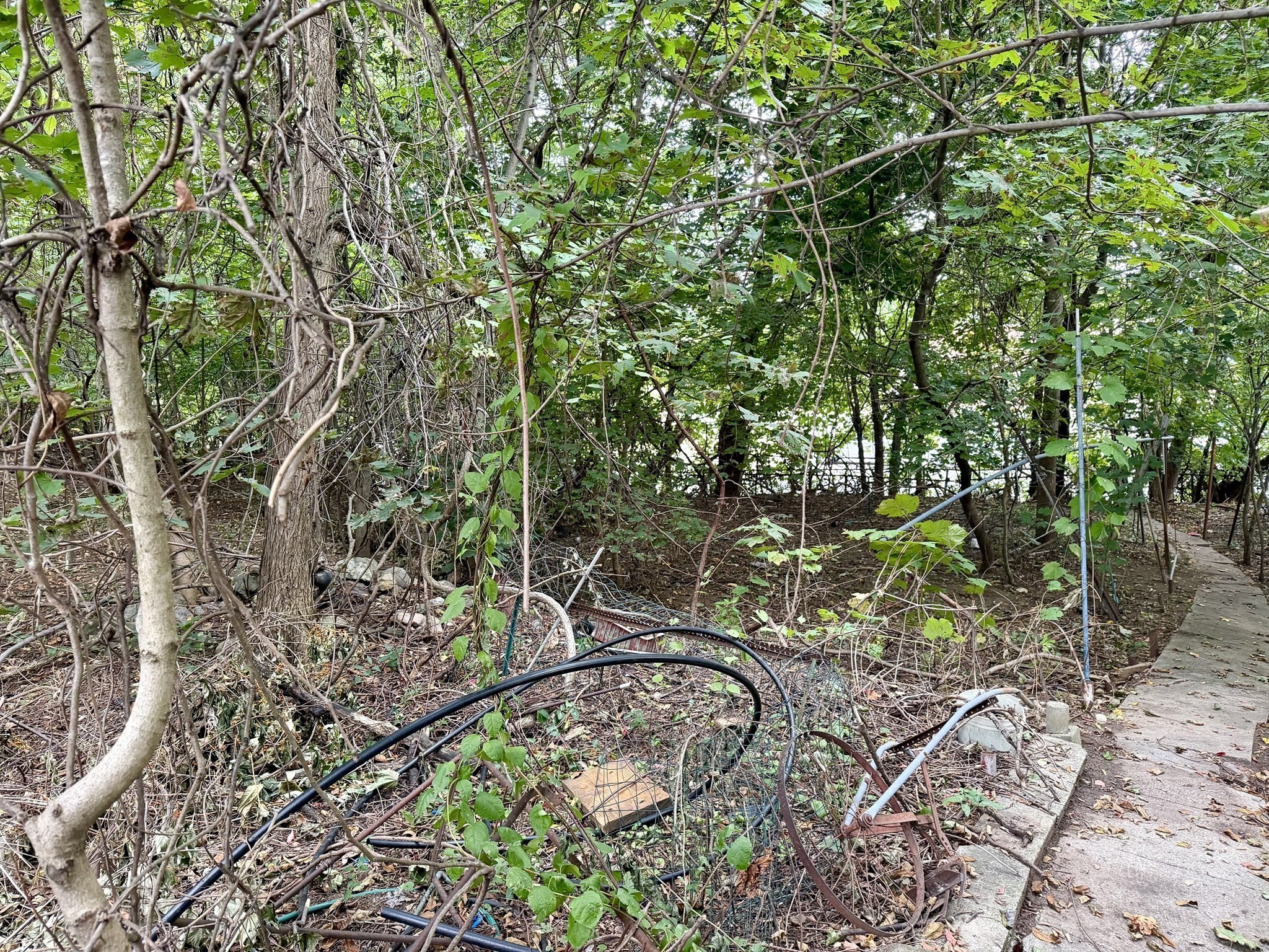 25 Lyons Ct, Watertown, MA 02472 - Image 6