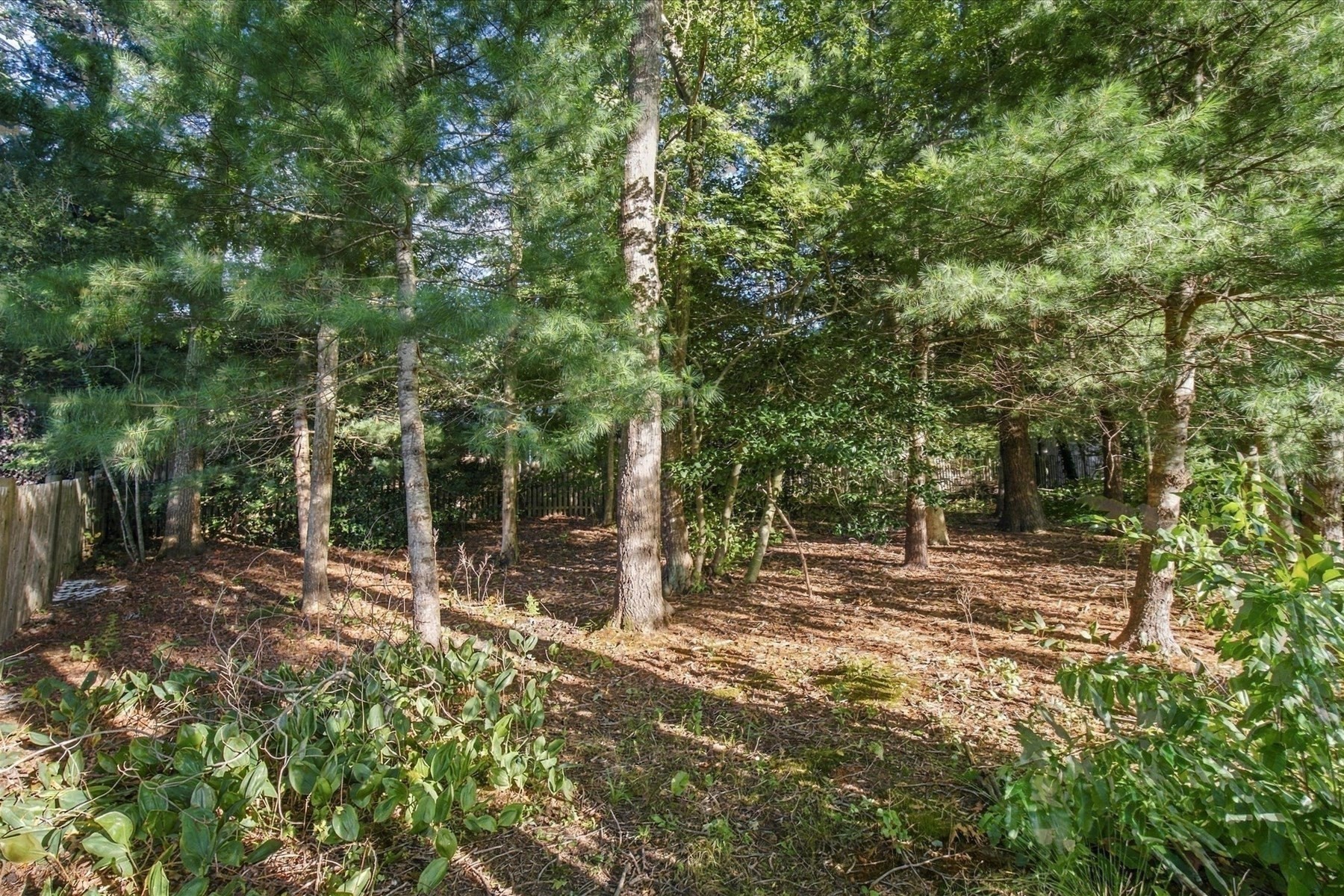 402 Prince Hinckley Rd, Barnstable, MA 02632 - Image 5