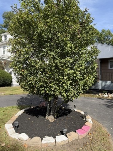 186 Pearl St, Brockton, MA 02301 - Image 4