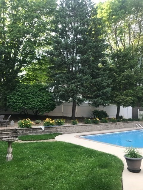 9 Myopia Rd, Stoneham, MA 02180 - Image 29