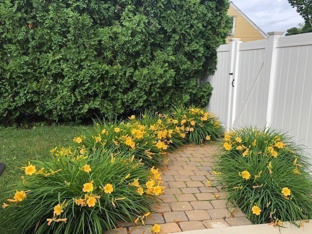 9 Myopia Rd, Stoneham, MA 02180 - Image 30