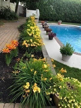 9 Myopia Rd, Stoneham, MA 02180 - Image 34