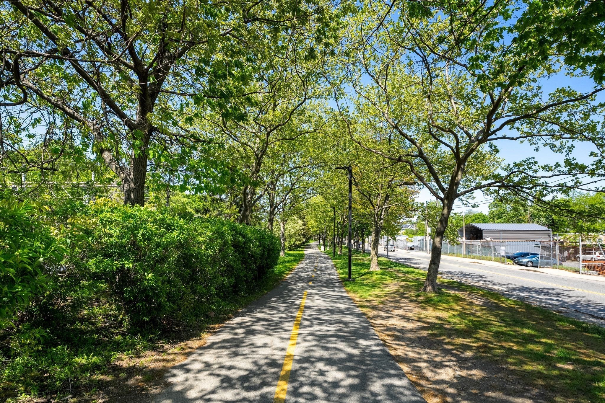 156 Green St Unit 302, Jamaica Plain, Boston, MA 02130 - Image 25