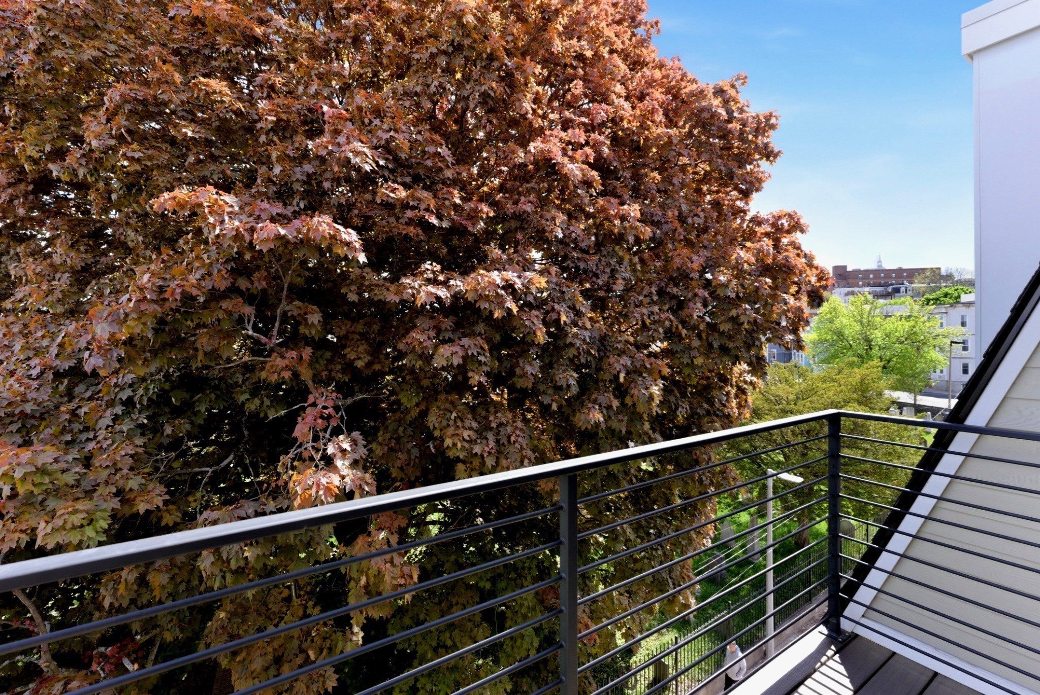 209 Tudor Street Unit 3, South Boston, Boston, MA 02127 - Image 14
