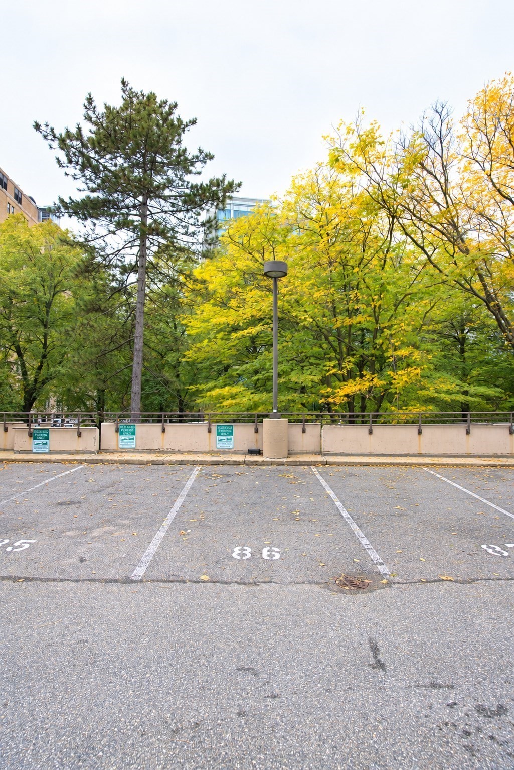9 Hawthorne Pl Pkg 86, West End, Boston, MA 02114 - Image 2