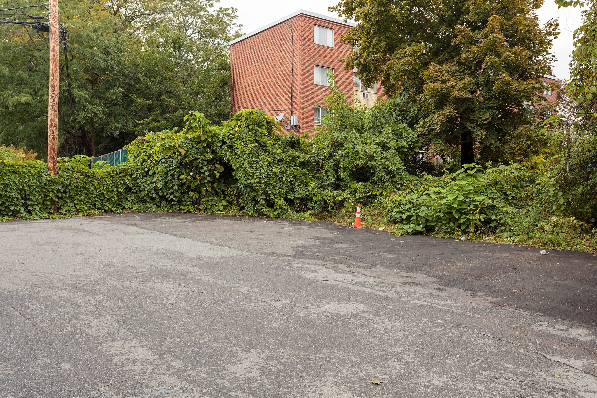 50 Seymour St Unit 15, Roslindale, Boston, MA 02131 - Image 15