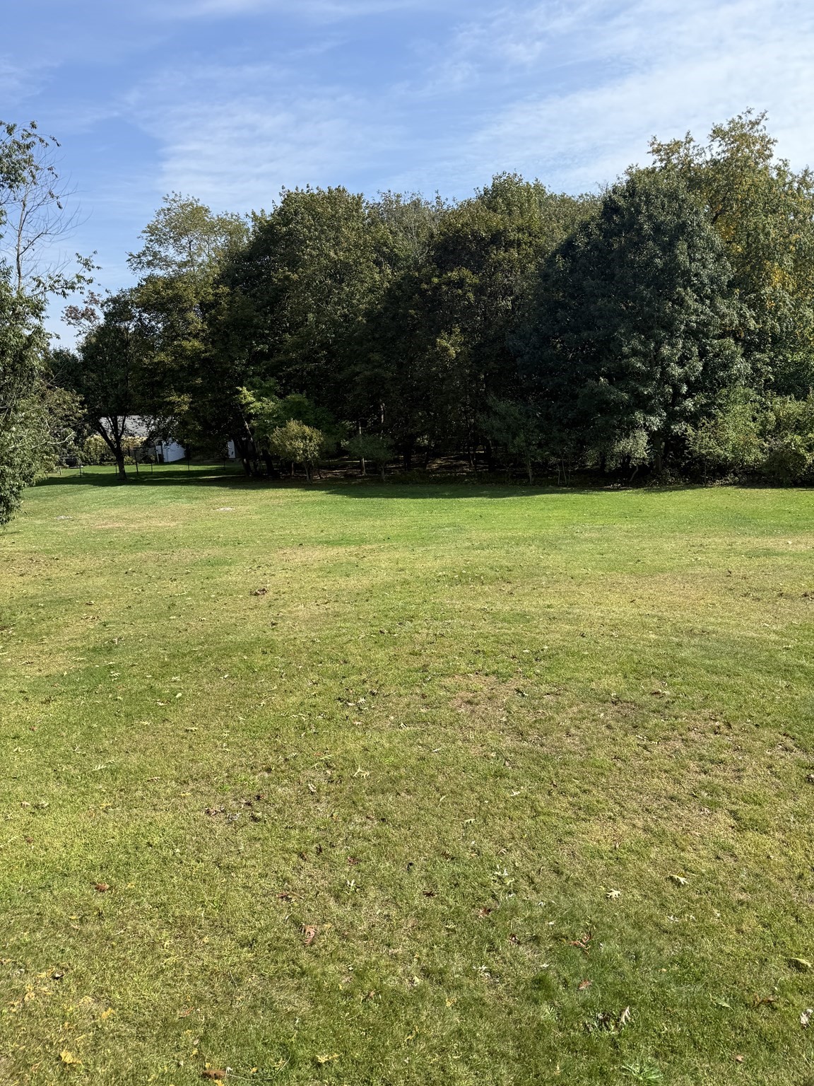 441 N. Quincy St, Brockton, MA 02302 - Image 22