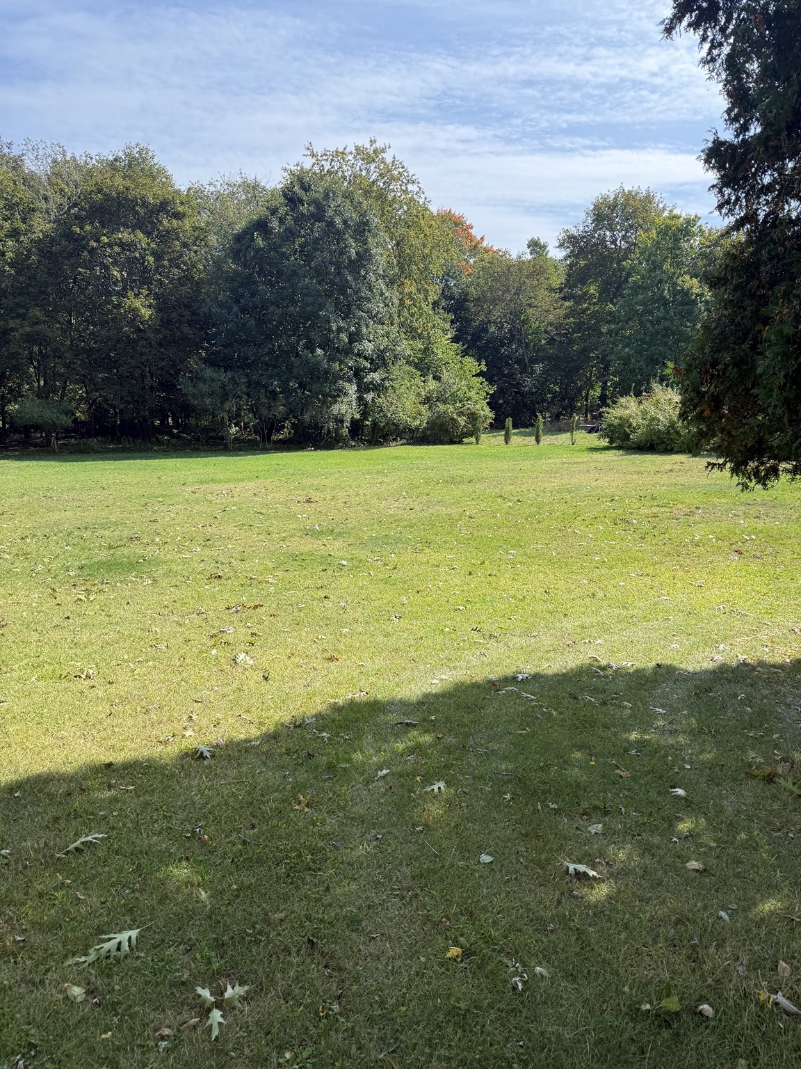 441 N. Quincy St, Brockton, MA 02302 - Image 25