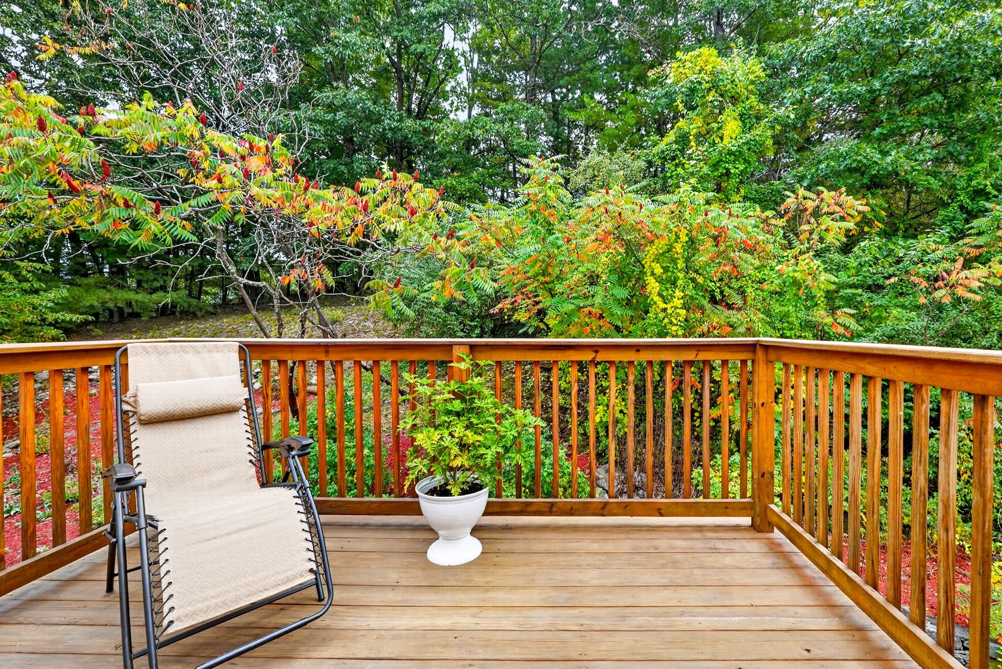 51 Berrington Rd Unit 51, Leominster, MA 01453 - Image 29