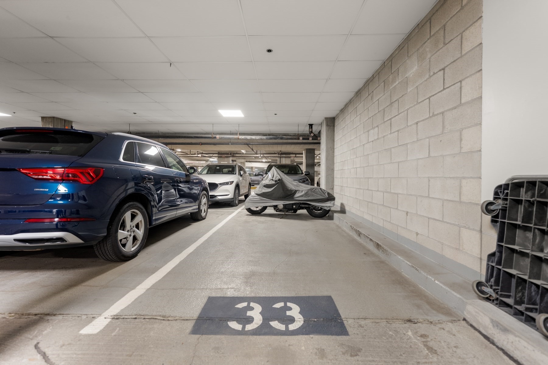 3 Rollins St Unit C101, South End, Boston, MA 02118 - Image 37