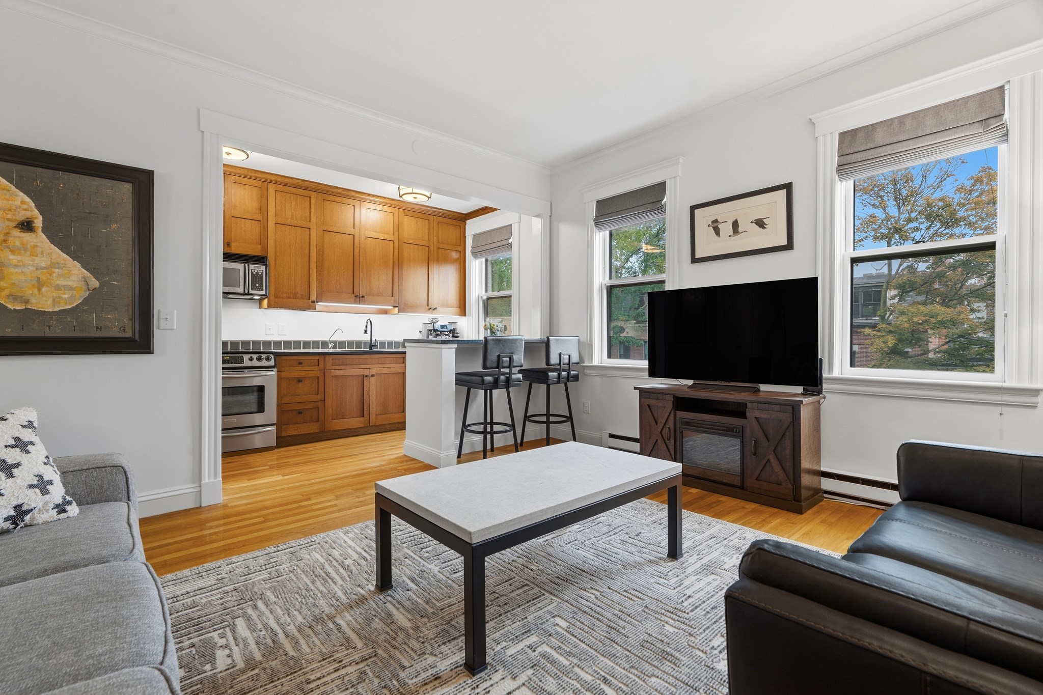 202 W Springfield St Unit 5, Boston - South End, MA 02118