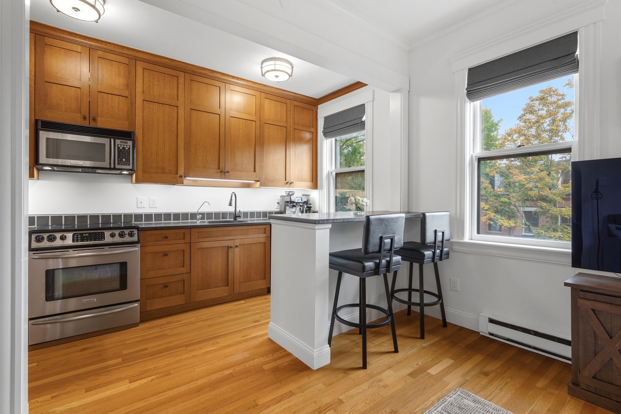 202 W Springfield St Unit 5, South End, Boston, MA 02118 - Image 2