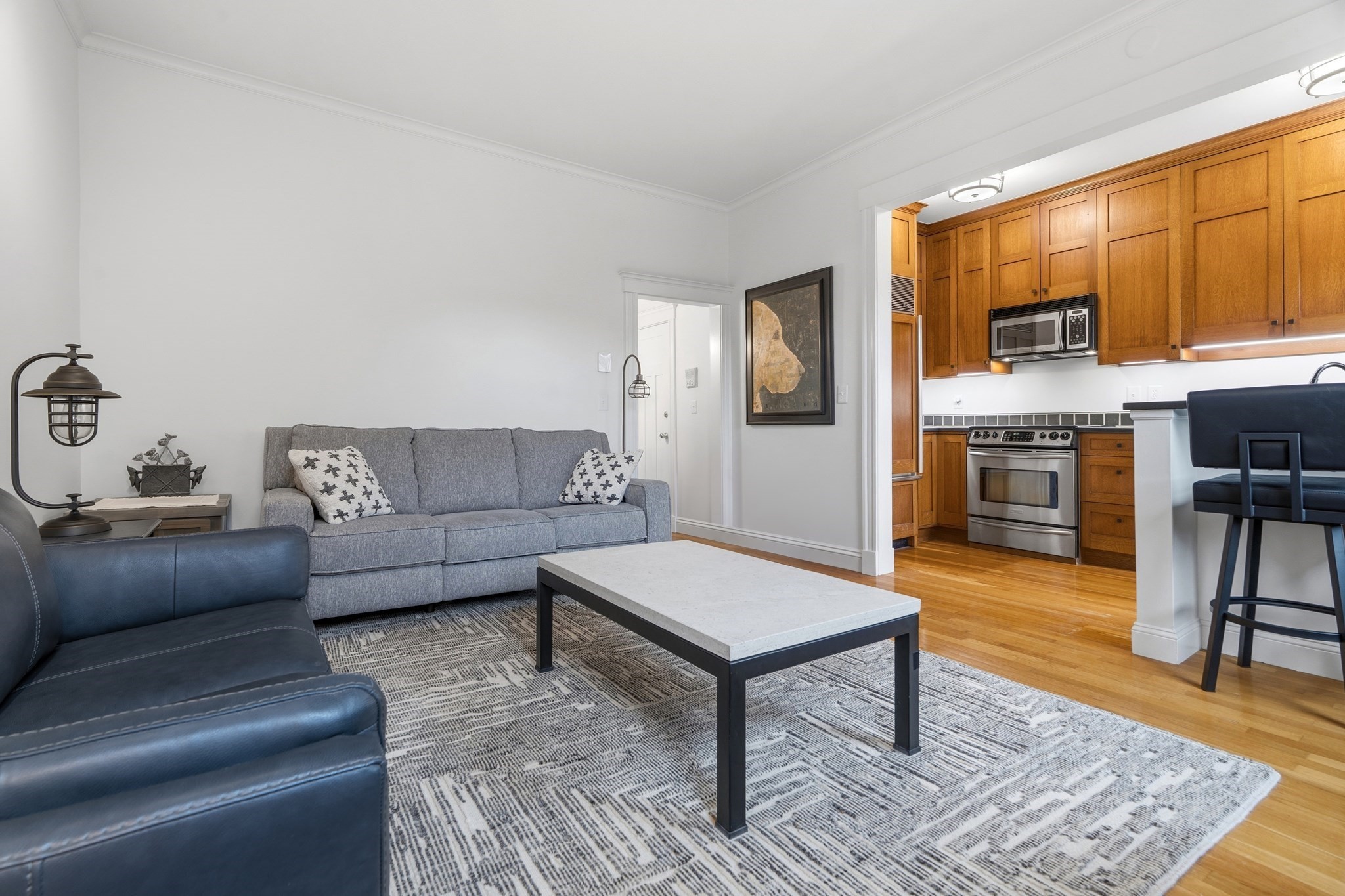 202 W Springfield St Unit 5, South End, Boston, MA 02118 - Image 6