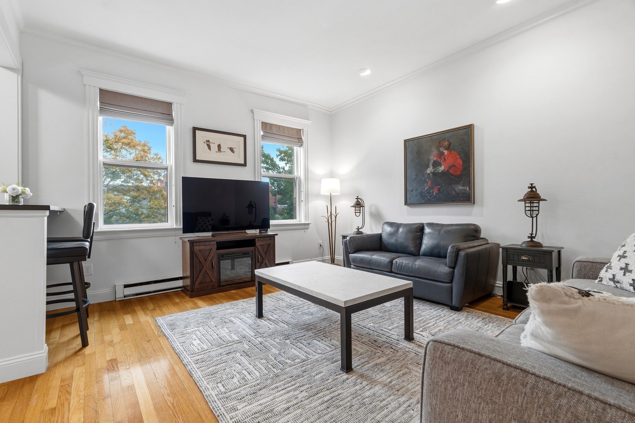 202 W Springfield St Unit 5, South End, Boston, MA 02118 - Image 8