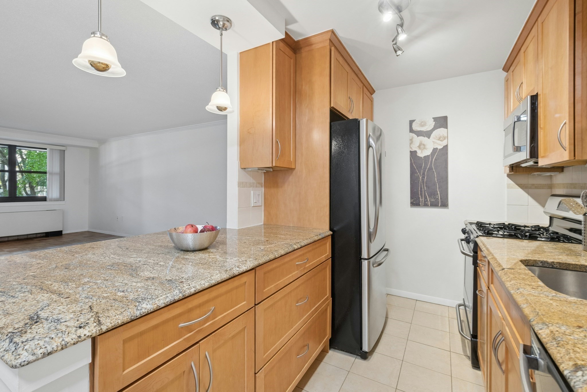 9 Hawthorne Pl Unit 2J, West End, Boston, MA 02114