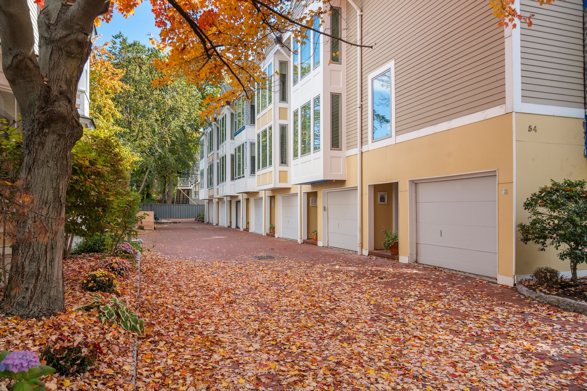 54 Trowbridge Street Unit B, Cambridge, MA 02138